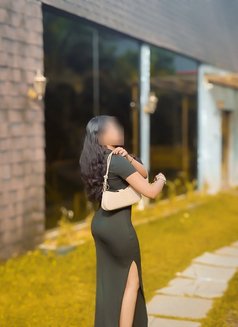 Mashi 21y Old Young New - escort in Colombo Photo 5 of 5