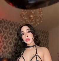 Ladyboy Massage Alain - Transsexual escort in Al Ain