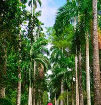 Massage and Waxing - Masajista in Geneva