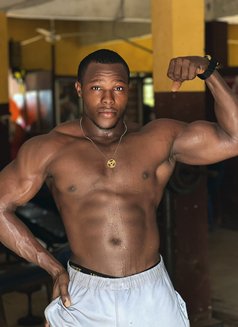 Massage Bbc - Male escort in Doha Photo 2 of 2