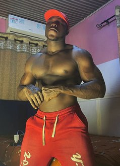 Massage Bbc - Male escort in Doha Photo 4 of 4