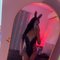 Massage both​(vip)🇹🇭🇴🇲 - Transsexual escort in Al Sohar