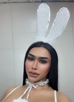 Massage both​(vip)🇹🇭🇴🇲 - Acompañantes transexual in Muscat Photo 18 of 18