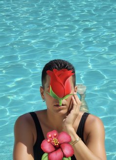 Professional sensual Massage for ladies - masseuse in Dubai Photo 1 of 1