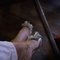 Massage Exclusive Nuru Gel Experience - puta in Muscat
