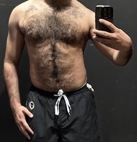 HAIRY BULL - Male escort in Doha