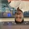 Massage for Ladies - Acompañantes masculino in Hyderabad Photo 1 of 3