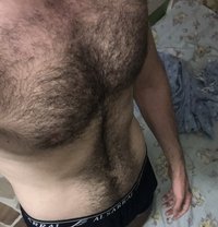 Massage / Hairy Sultan - Male escort in Dubai