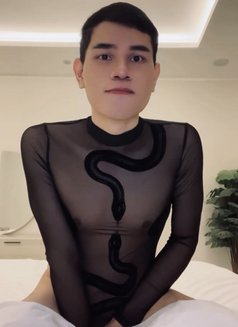 Massage & Happy Ending - Acompañantes masculino in Bangkok Photo 10 of 10