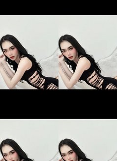 Massage Salalah - Acompañantes transexual in Şalālah Photo 1 of 4