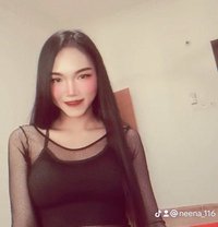 Massage Salalah - Acompañantes transexual in Şalālah