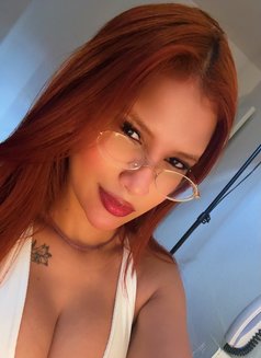 Massage São Paulo - escort agency in São Paulo Photo 17 of 19