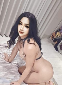Massage - Transsexual escort in Khobar Photo 7 of 17