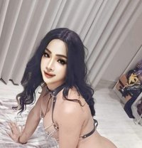 Massage - Transsexual escort in Khobar