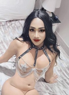 Massage - Transsexual escort in Khobar Photo 8 of 17