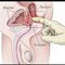 Professional massage therapist &prostate - Masajista in Al Manama Photo 3 of 30