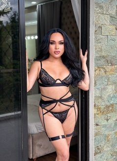 Massive Shooter Goddess - Transsexual escort in Singapore Photo 7 of 18