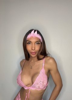 Master of every Mood, Mistress of Desire - Transsexual escort in Bangkok Photo 29 of 30