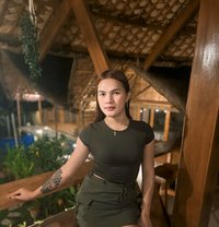 Masterbigcock - Transsexual escort in Angeles City