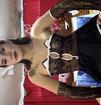 Masterbigcock - Transsexual escort in Angeles City
