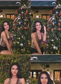 Fadia69, Dick Pink Let's take a look. - Acompañantes transexual in Al Manama Photo 29 of 30