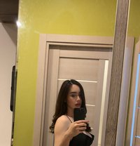 Matt - escort in Krabi