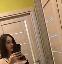 Matt - escort in Krabi