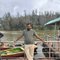 Mature 6 Black Bull - Male escort in Hyderabad