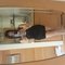 Mature Woman here-Young and Matured men - escort in Hong Kong Photo 4 of 5