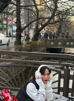 Maui at Manila - Transsexual escort in Makati City Photo 6 of 12