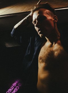 Max Night - Acompañantes masculino in Seoul Photo 5 of 26