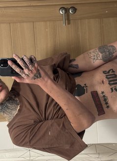 Max - Transsexual escort in Bangkok Photo 1 of 2