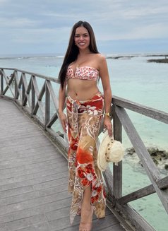 Maxine Is Back, Newly Arrived and Fresh - Transsexual escort in Manila Photo 16 of 16