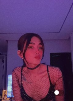 Maxxie - Transsexual escort in Riyadh Photo 3 of 6