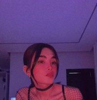 Maxxie - Transsexual escort in Riyadh