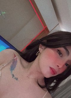 Maxxie - Transsexual escort in Riyadh Photo 6 of 6