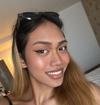 May - Acompañantes transexual in Pattaya