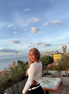May - Transsexual escort in Pattaya Photo 4 of 12
