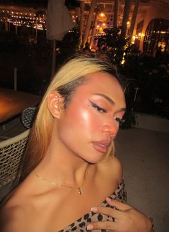 May - Transsexual escort in Pattaya Photo 5 of 12