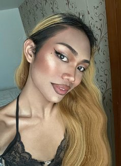 May - Transsexual escort in Pattaya Photo 6 of 12