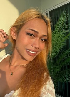 May - Transsexual escort in Pattaya Photo 12 of 12