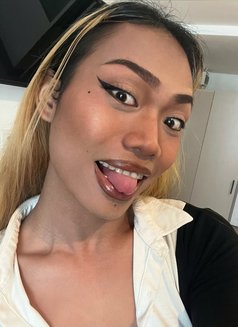 May Linda - Agencia de acompañantes transexuales in Pattaya Photo 11 of 11