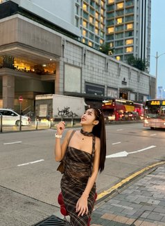 May May🇹🇭 - escort in Bangkok Photo 12 of 12