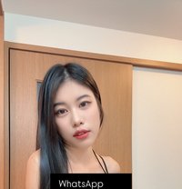 May May - escort in Pattaya