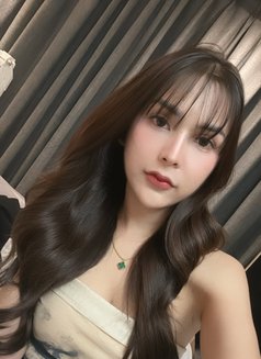 May May🇹🇭 - escort in Taipei Photo 6 of 8