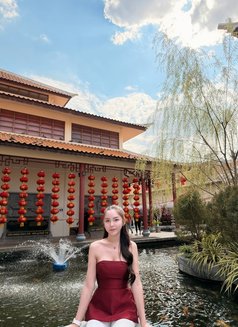 May May🇹🇭 - escort in Taipei Photo 12 of 13