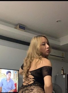 May - Transsexual escort in Bangkok Photo 6 of 10