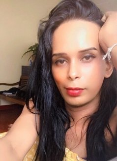 Maya 8,🥰🫶🏻 - Transsexual escort in Colombo Photo 13 of 13