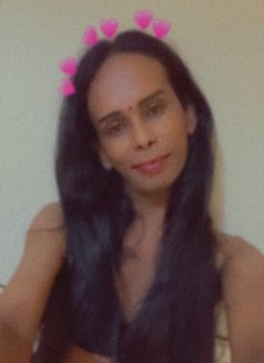 Maya 9, - Transsexual escort in Colombo Photo 17 of 23