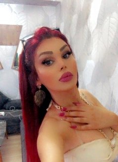 Maya Arabic shemale مايا شيميل عربية - Transsexual escort in İstanbul Photo 2 of 22